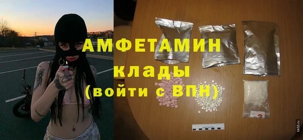 крисы Ростов