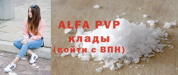 мяу мяу мука Баксан